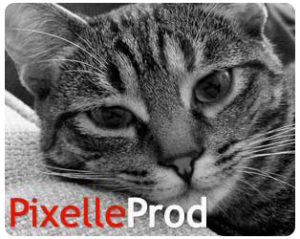 Logo PixelleProD